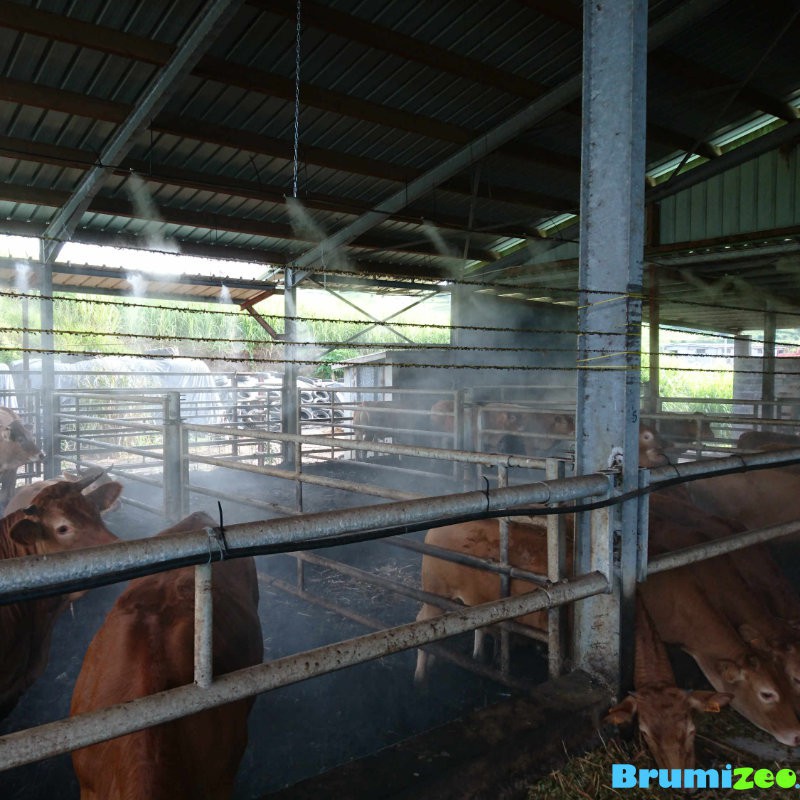 BRUMIZEO rafraichissement salle de traite