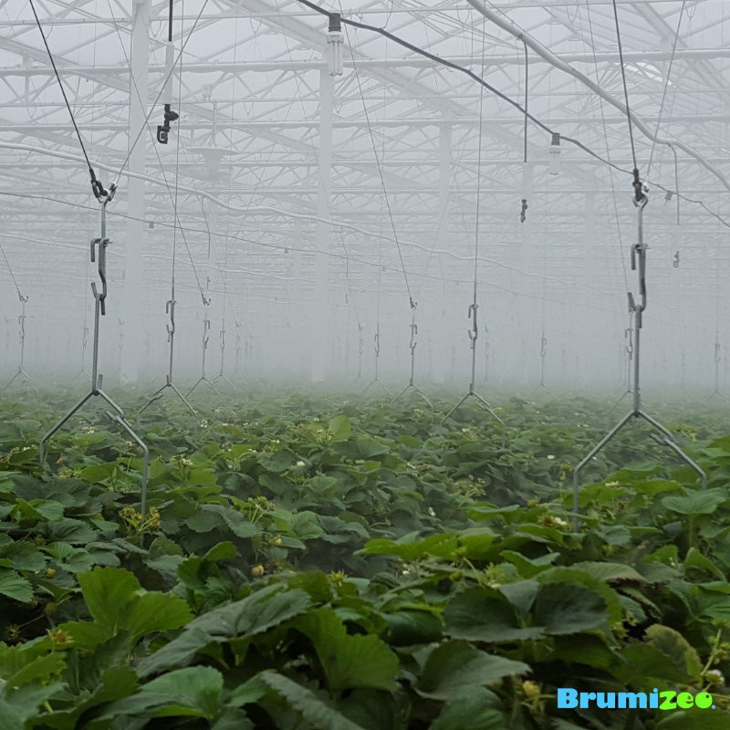 BRUMIZEO BRUMIBOX rafraichissement pour serres et jardineries